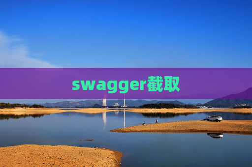 swagger截取